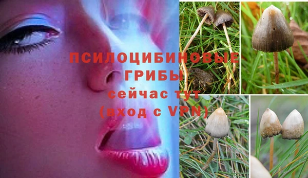 дурь Инта