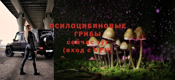 дурь Инта