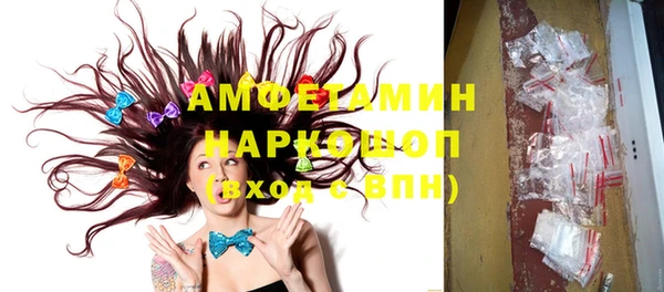 дурь Инта