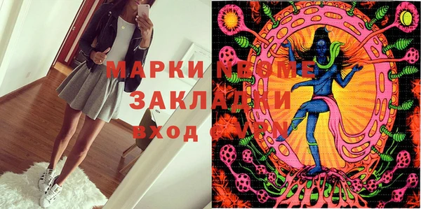 дурь Инта