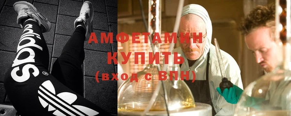 дурь Инта
